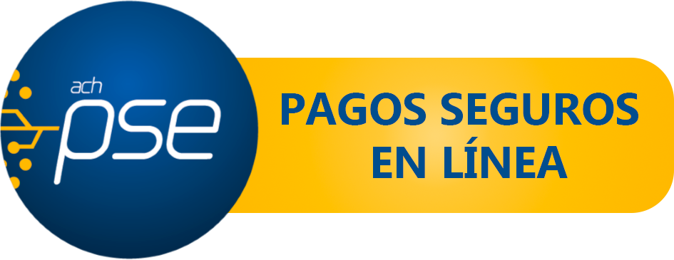 Pago seguro en línea