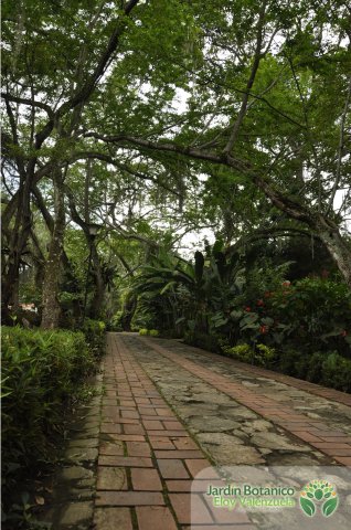Jardín Botánico Eloy Valenzuela