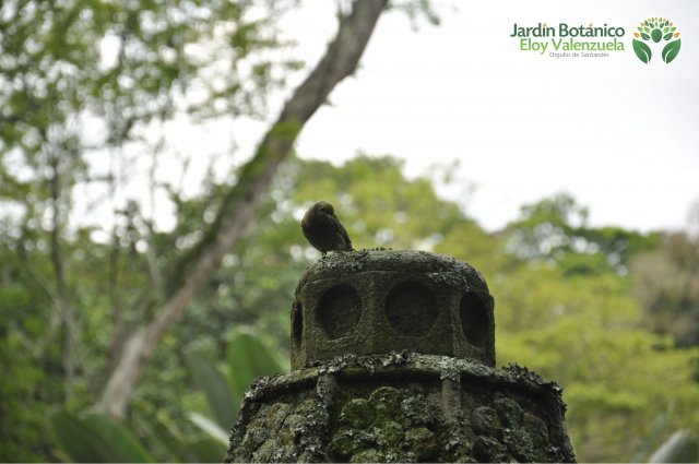 Jardín Botánico Eloy Valenzuela