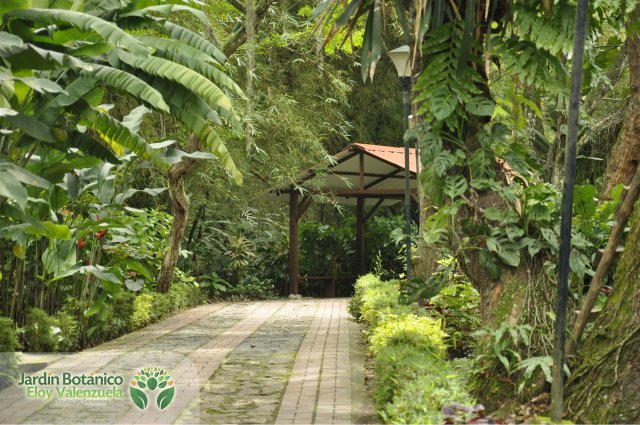 Jardín Botánico Eloy Valenzuela