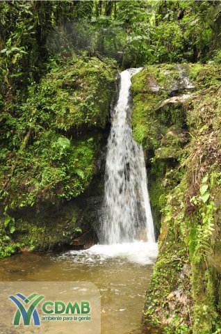 El Rasgón
