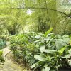 Jardín Botánico Eloy Valenzuela