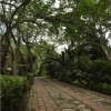 Jardín Botánico Eloy Valenzuela