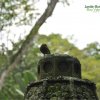 Jardín Botánico Eloy Valenzuela