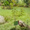 Jardín Botánico Eloy Valenzuela