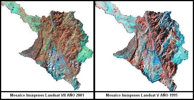 clasificaciones de cobertura vegetal y uso del suelo de los años 1995 y 2001 respectivamente