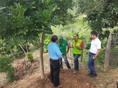 Sembramos un Guacarí para reemplazar mamón del Parque de Las Nieves