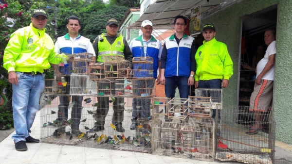 En 4 meses serán liberadas 118 aves