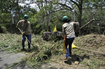 Hay botaderos de basura a cielo abierto en Zapamanga V