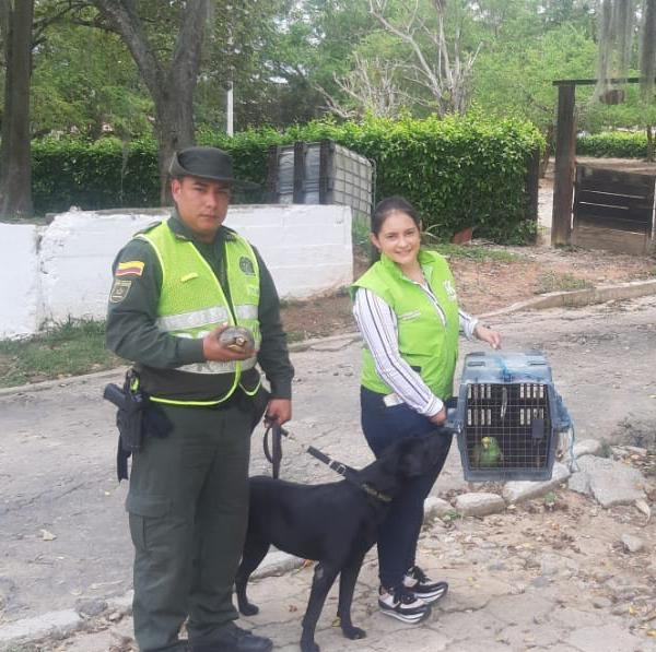 Con el apoyo de “Tatis” fue recuperada mas fauna silvestre