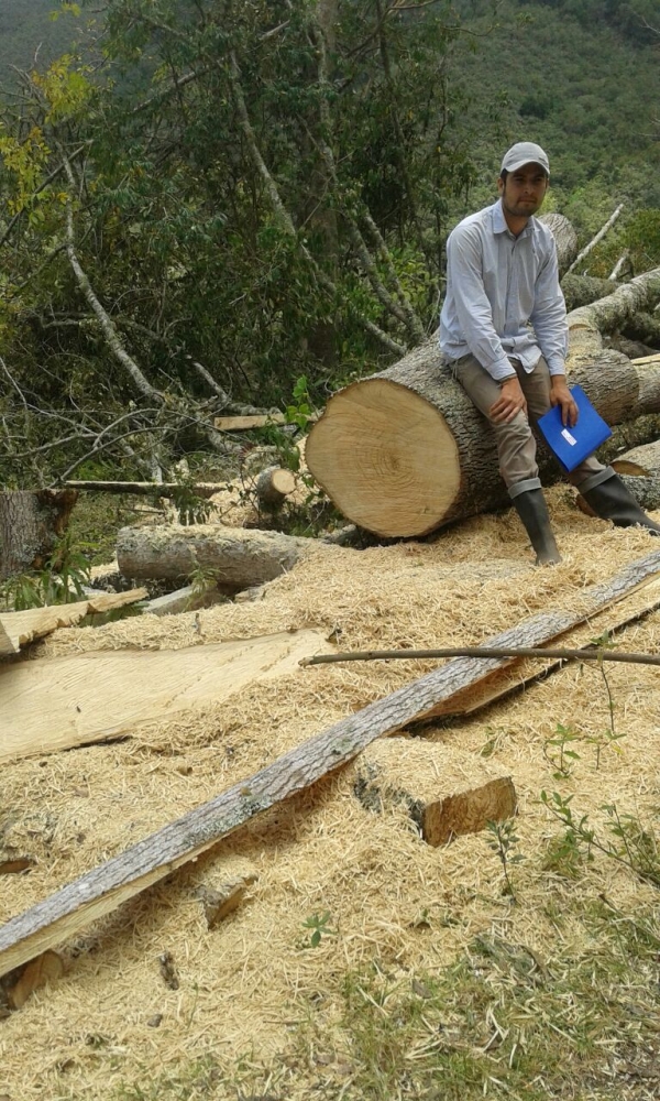 CDMB abre proceso sancionatorio a propietario de finca en Suratá