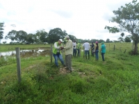 Se realizó siembratón en Papayal para proteger la ciénaga