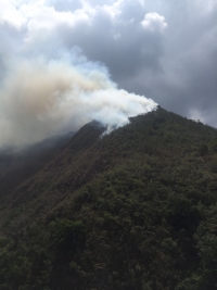 Arden varias hectáreas de Roble y bosque nativo entre California y Vetas