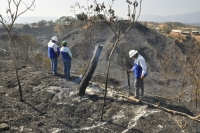 Aproximadamente 15 has de cobertura vegetal ardieron en El Carrasco