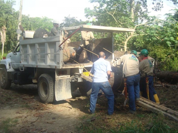 En jornada de limpieza, la CDMB, advierte botaderos a cielo abierto en barrios de la comuna 4