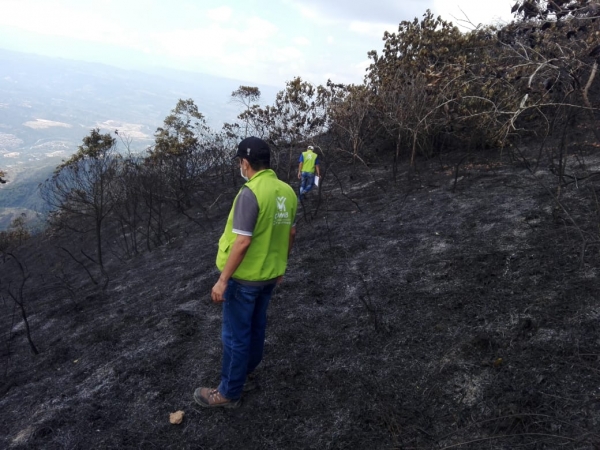 20 Hectáreas de cobertura vegetal resultaron afectadas tras incendio en Lebrija