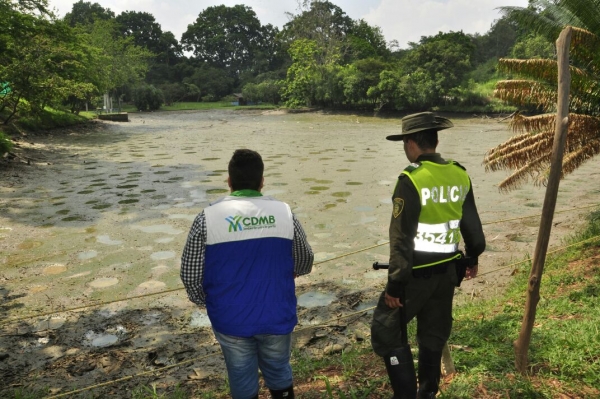 CDMB iniciar&aacute; proceso sancionatorio por mortandad de fauna en lago de Cajasan