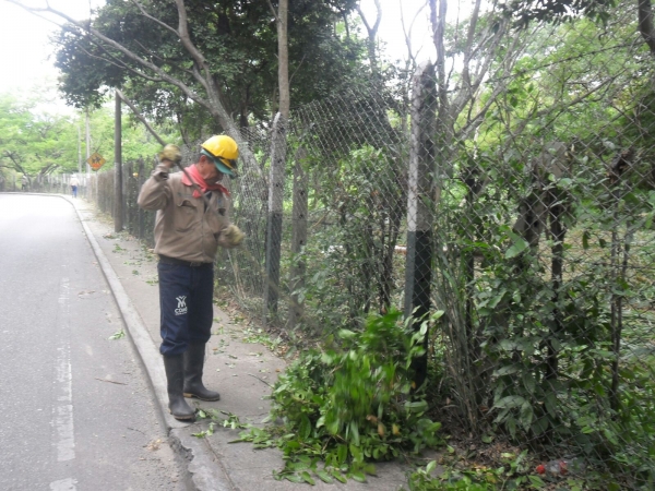 Cuadrillas de la CDMB limpiaron lote en Floridablanca