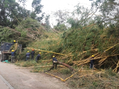 Cuadrillas de la CDMB apoyan remoción de escombros vía a Piedecuesta