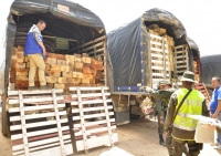 Inmovilizado vehículo que transportaba madera ilegal