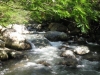 Alerta! Quebrada Mensulí estaría contaminada ante mortandad de peces