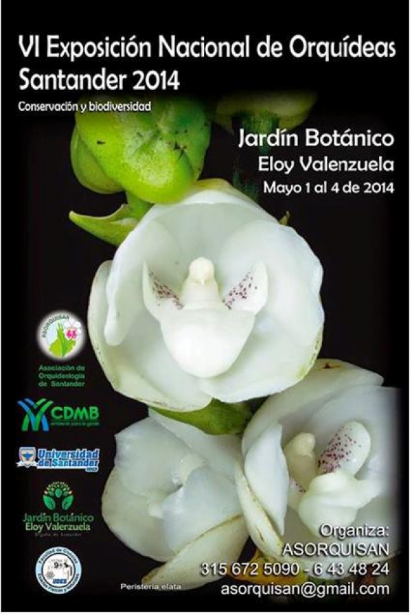 CDMB apoya VI Exposición Nacional de Orquídeas de santander