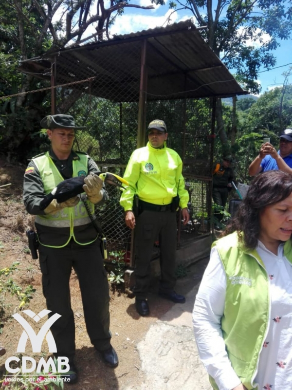 Grupo GEA decomisó 18 aves que se encontraban en cautiverio