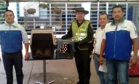 Entregan 9 morrocoyes y 2 frentiamarillos