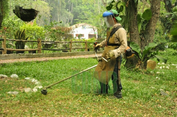 Comenz&oacute; limpieza del Parque La Flora y el Jard&iacute;n Bot&aacute;nico Eloy Valenzuela
