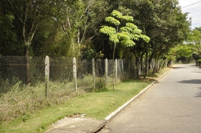 CDMB limpia predio de protección ambiental en Provenza