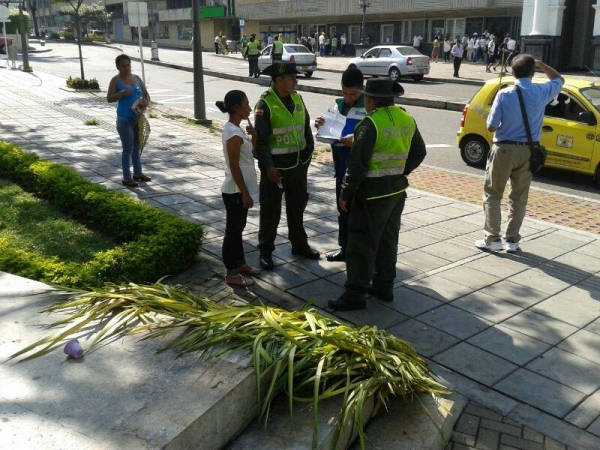 El decomiso de 1400 ramos de palmiche es  el resultado de los operativos de semana santa en contra del tráfico de palma de cera