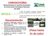 Se abre convocatoria para acceder a incentivos forestales