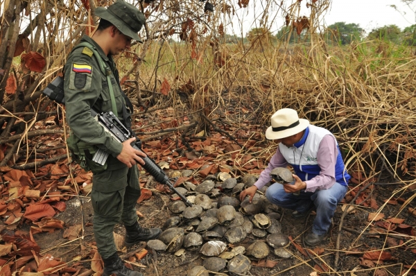 Invasores del Bajo Rionegro provocan desastre ambiental