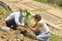 Parque Carlos Virviescas será hogar de especies arbóreas amenazadas