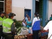 CDMB y Policía Ambiental, realizan jornada contra del uso y tráfico ilegal de la Palma de Cera