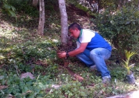 5000 árboles fueron para reforestación de Quebrada la Angula en Lebrija