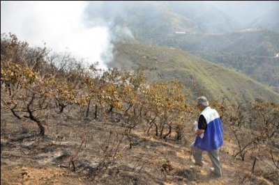 Flora y fauna, afectadas por incendio en Piedecuesta