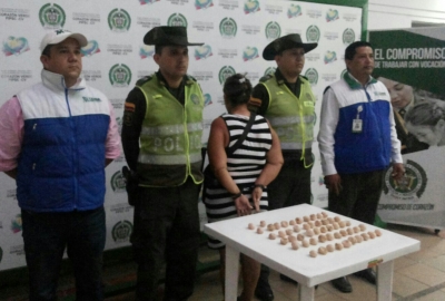 Primera captura por venta ilegal de huevos de tortuga