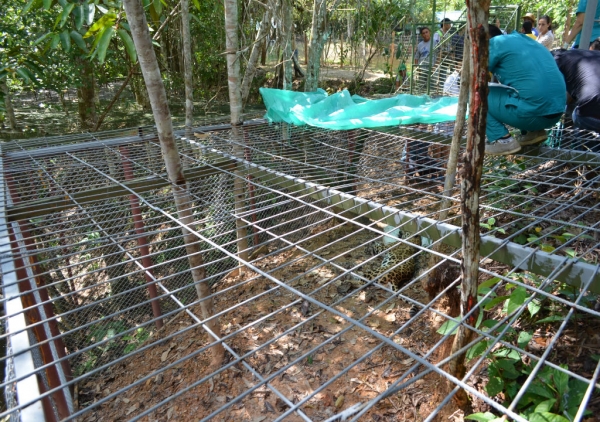 Dos casos de apoyo a fauna silvestre fueron atendidos este fin de semana por la CDMB