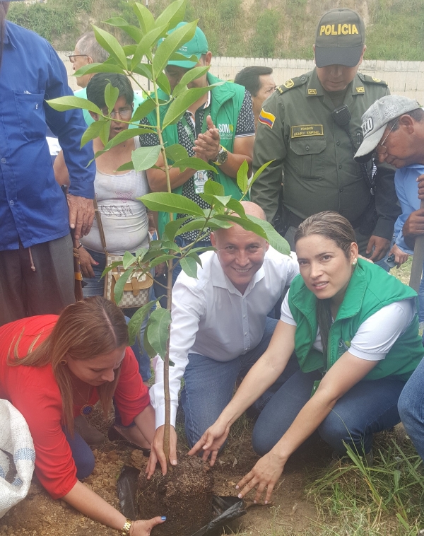 Mil plántulas sembradas en el Día Mundial del Ambiente