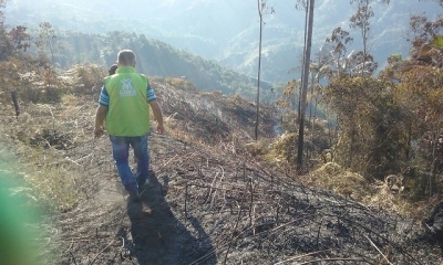 10 hectáreas de bosque secundario se quemaron en incendio forestal en Rionegro