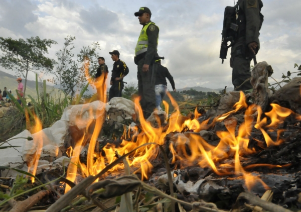 CDMB acompaña desalojo de invasión en predio de Invisbu