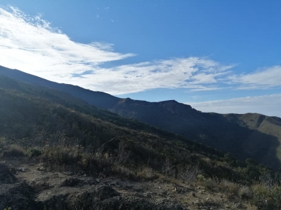 Páramo de Santurbán: las 3 acciones que el Ministerio ejecuta tras incendio