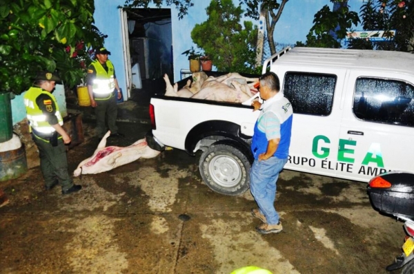 Operativos en la madrugada de este sábado