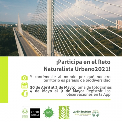 La CDMB se une a los apasionados por la biodiversidad en el Reto Naturalista Urbano de Bucaramanga y su área metropolitana