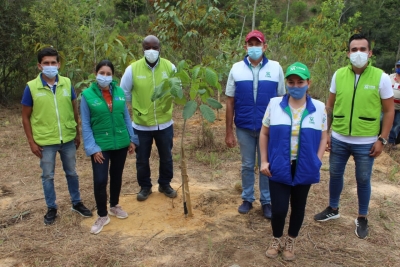 La CDMB sembró  2 mil 250 árboles para conmemorar el Día mundial del Árbol