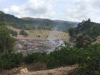 Quema de bosque en predio El Olivo en Girón