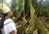 Mamo de la Sierra Nevada realizó pagamento en el Jardín Botánico