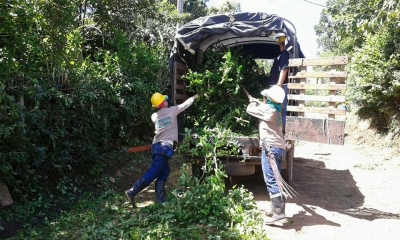 Intensa jornada de limpieza y poda en vereda Acapulco de Girón