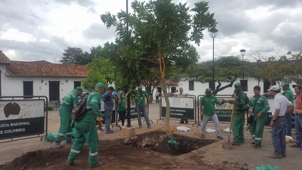 El Parque de Las Nieves cuenta con un nuevo pulmón verde: un Guacarí